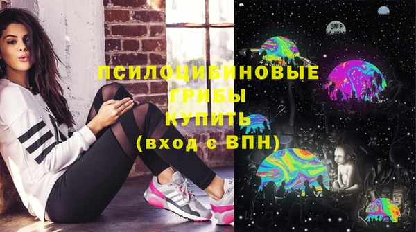 ГАЛЛЮЦИНОГЕННЫЕ ГРИБЫ Алексеевка