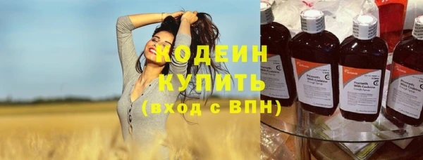 дурь Алексин