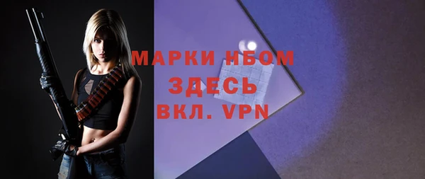 дурь Алексин