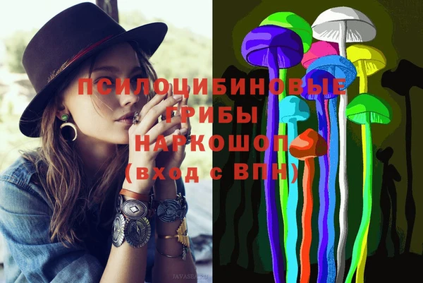 дурь Алексин