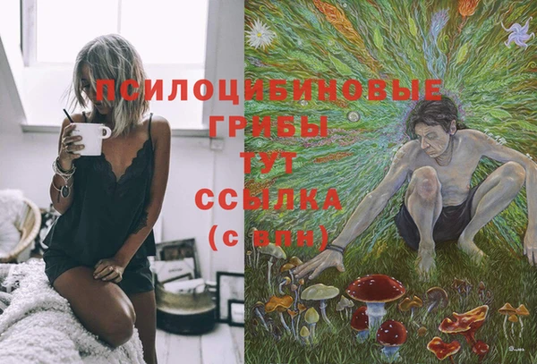 дурь Алексин