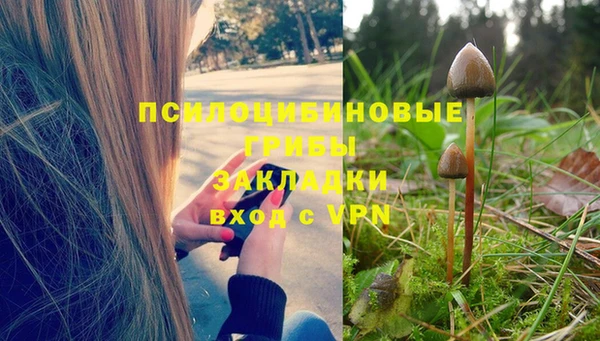 ГАЛЛЮЦИНОГЕННЫЕ ГРИБЫ Алексеевка