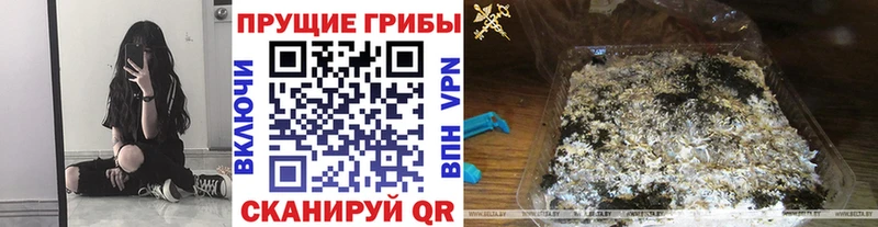 Псилоцибиновые грибы Cubensis Лаишево